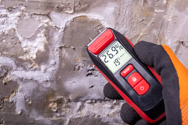 Best Fast Mold Removal  in Weston, NJ